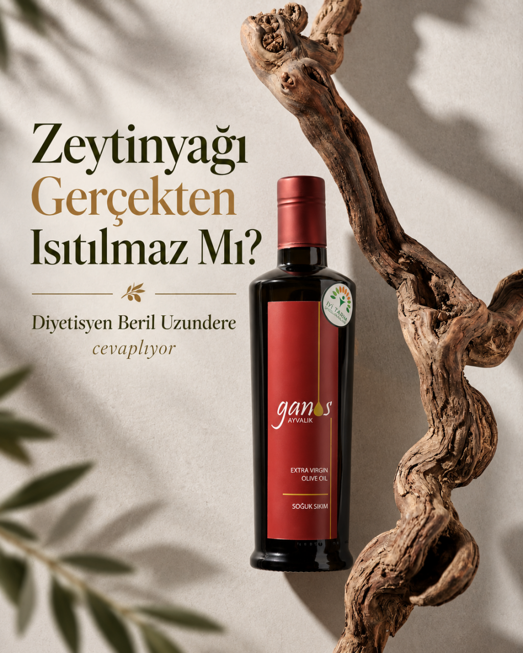 Zeytinyağı Gerçekten Isıtılmaz Mı?