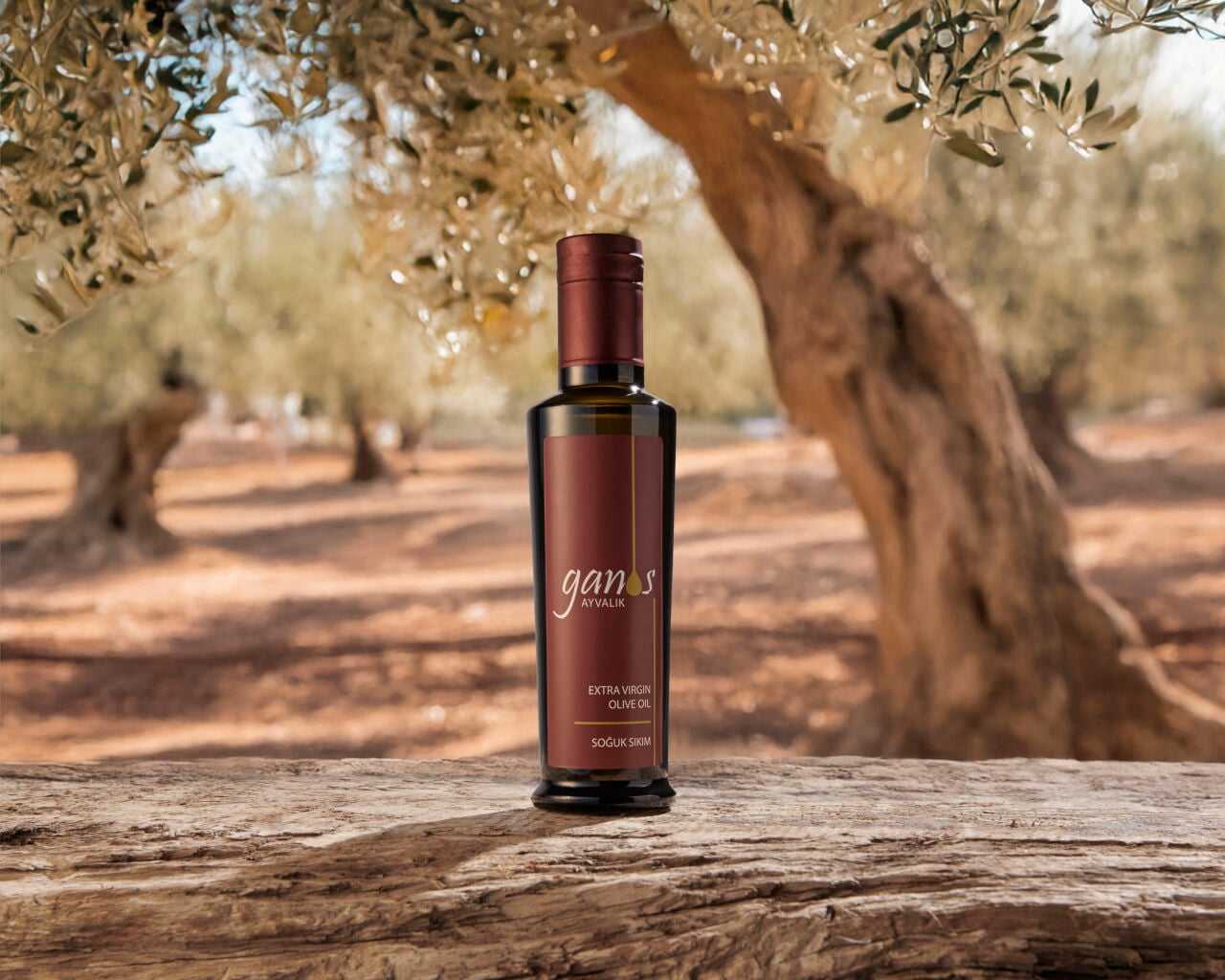 Naturel Sızma Zeytinyağı Nasıl Anlaşılır?