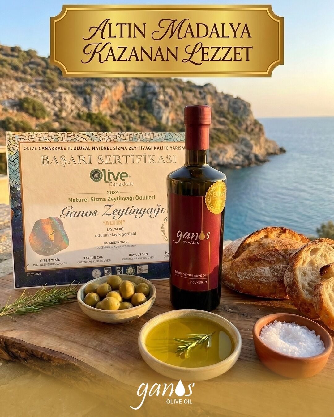 500 ML (ALTIN ÖDÜLLÜ) 2025-2026 AYVALIK NATUREL SIZMA ZEYTİNYAĞI  FİLTRESİZ SOĞUK SIKIM